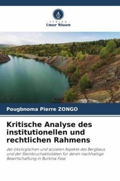 Kritische Analyse des institutionellen und rechtlichen Rahmens - Zongo, Pougbnoma Pierre