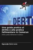 Una guida pratica al diritto e alla pratica fallimentare in Camerun