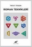 Roman Teknikleri