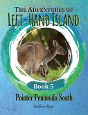 The Adventures of Left-Hand Island