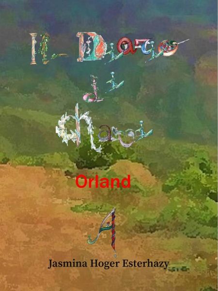 Il diario di Chavi ORLAND (eBook, ePUB)