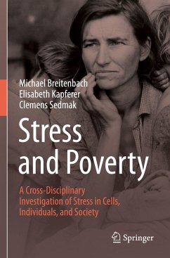 Stress and Poverty - Breitenbach, Michael;Kapferer, Elisabeth;Sedmak, Clemens