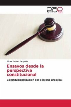 Ensayos desde la perspectiva constitucional