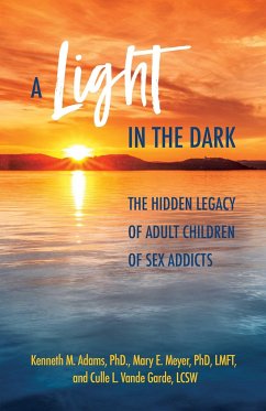 A Light in the Dark - Adams, Kenneth M; Meyer, Mary E; Vande Garde, Culle L