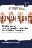 Direito penal internacional e violações dos direitos humanos