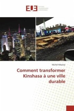 Comment transformer Kinshasa à une ville durable - Kibansa, Michel