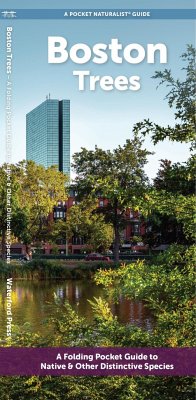 Boston Trees - Waterford Press