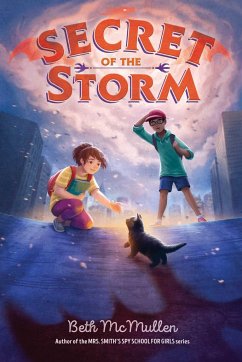 Secret of the Storm - Mcmullen, Beth