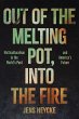 Out of the Melting Pot, Into the Fire - Bild 1