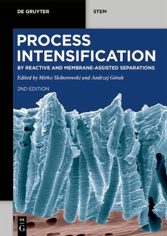 Cover Process Intensification (eBook, PDF)