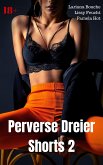 Perverse Dreier Shorts 2 (eBook, ePUB)