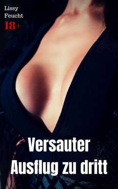 Cover Versauter Ausflug zu dritt (eBook, ePUB)