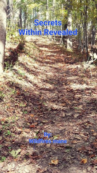 Secrets Within Revealed (eBook, ePUB)