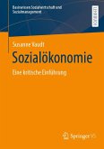 Sozialökonomie (eBook, PDF)