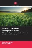 Aveia:- Uma boa forragem e fibra