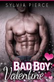 Bad Boy Valentine (Bad Boys on Holiday, #1) (eBook, ePUB)