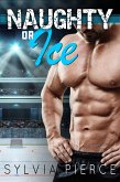 Naughty or Ice (eBook, ePUB)