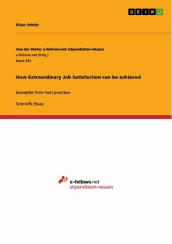 How Extraordinary Job Satisfaction can be achieved (eBook, ePUB)