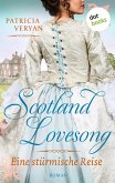 Eine stürmische Reise / Scotland Lovesong Bd.7 (eBook, ePUB)