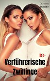 Verführerische Zwillinge (eBook, ePUB)