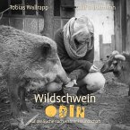 Wildschwein Odin (MP3-Download)