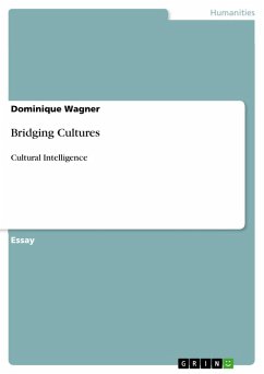 Bridging Cultures (eBook, ePUB)