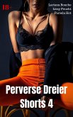 Perverse Dreier Shorts 4 (eBook, ePUB)