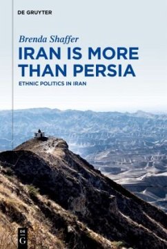 Iran is More Than Persia - Shaffer, Brenda