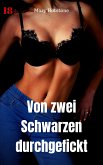 Von zwei Schwarzen durchgefickt (eBook, ePUB)