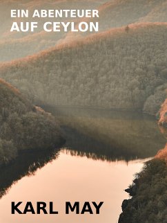 Ein Abenteuer auf Ceylon (eBook, ePUB)