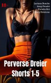 Perverse Dreier Shorts 1-5 (eBook, ePUB)