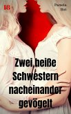 Zwei heiße Schwestern nacheinander gevögelt (eBook, ePUB)