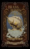 Brass, Blimps and Bots (eBook, ePUB)