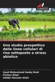 Uno studio prospettico delle linee cellulari di riso sottoposte a stress abiotico