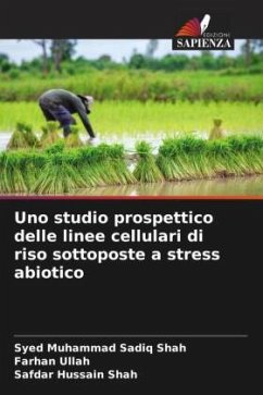 Uno studio prospettico delle linee cellulari di riso sottoposte a stress abiotico - Shah, Syed Muhammad Sadiq;Ullah, Farhan;Shah, Safdar Hussain