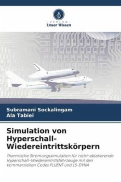 Simulation von Hyperschall-Wiedereintrittskörpern - Sockalingam, Subramani;Tabiei, Ala
