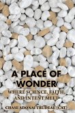 A Place of Wonder (eBook, ePUB)