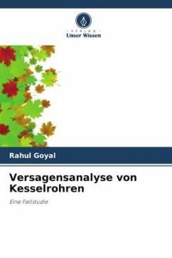 Versagensanalyse von Kesselrohren - Goyal, Rahul