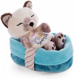 NICI 47893 - Sleeping Pets, Siamkatze, Schlafende Katze im Körbchen, beige/blau-türkis NICI 47893 - Sleeping Pets, Siamkatze, Schlafende Katze im Körbchen, beige/blau-türkis
