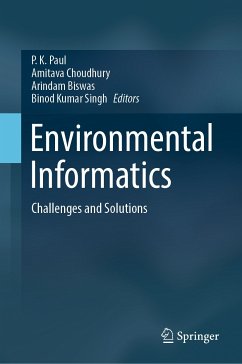 Environmental Informatics (eBook, PDF)