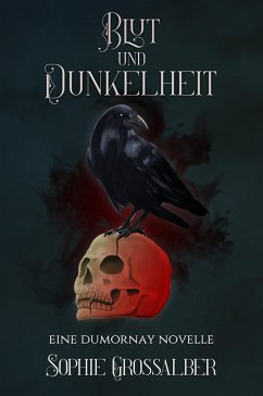 Blut und Dunkelheit (eBook, ePUB) - Grossalber, Sophie