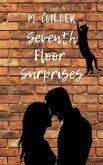 Seventh Floor Surprises (eBook, ePUB)