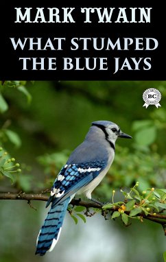 What Stumped the Blue Jays (eBook, ePUB) - Twain, Mark