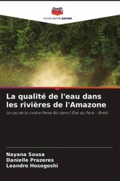 La qualité de l'eau dans les rivières de l'Amazone - Sousa, Nayana;Prazeres, Danielle;Hosogoshi, Leandro