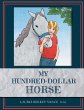 My Hundred-Dollar Horse - Bild 1