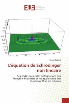 L'équation de Schrödinger non linéaire - Gaillard, Pierre