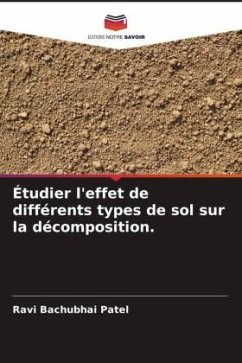 Étudier l'effet de différents types de sol sur la décomposition. - Patel, Ravi Bachubhai
