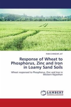 Response of Wheat to Phosphorus, Zinc and Iron in Loamy Sand Soils