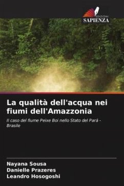 La qualità dell'acqua nei fiumi dell'Amazzonia - Sousa, Nayana;Prazeres, Danielle;Hosogoshi, Leandro