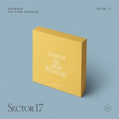 Sector 17 (New Beginning Ver.) - Seventeen